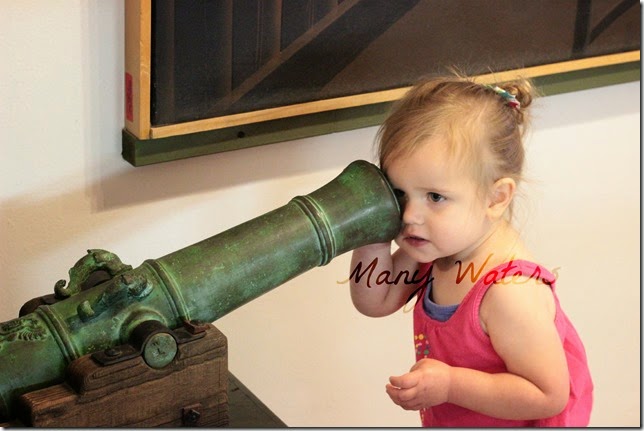 Many Waters Eye of the Cannon
