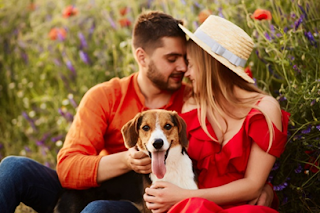 wedding photoshoot with pet