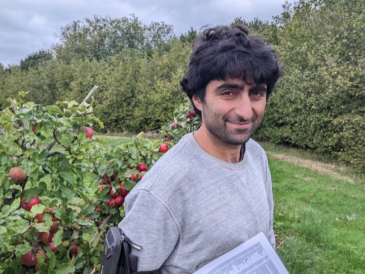 A young man with a thatch of black hair standing next to some dwarf apple trees that are bearing red fruit.