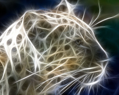 desktop wallpaper lion. Cool 3D Lion Wallpaper and