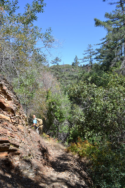 rocky section of trail