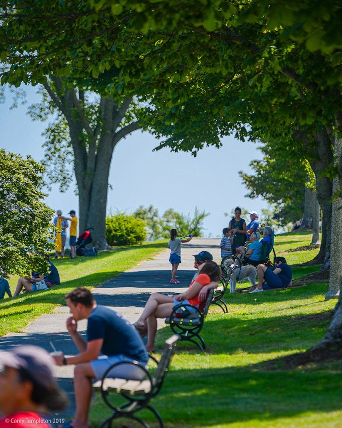 Portland, Maine USA July 2019 photo by Corey Templeton. A busy day for the benches along the Eastern Promenade.