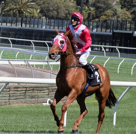 race 4_the quarterback 1