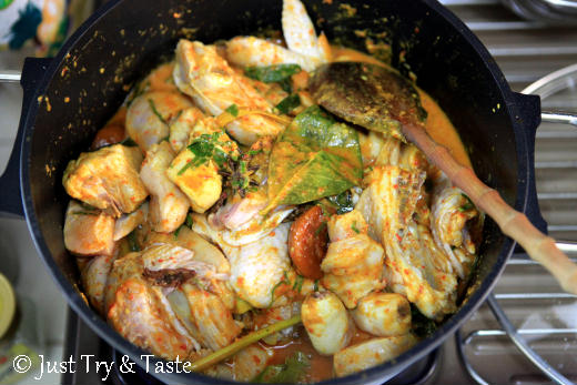 Resep Kalio Ayam Tanpa Santan a la JTT  Just Try & Taste