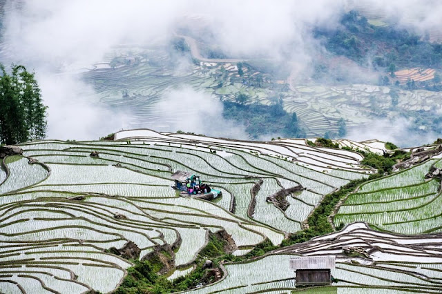 Travel Guide For A Perfect Trip To Mu Cang Chai, Vietnam 4