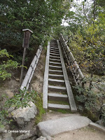 Stone stairs, Kinkaku-ji Garden - Kyoto, Japan