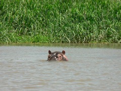 lake_victoria_4-kenya