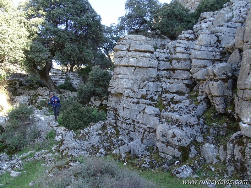 Los Lajares - Llanos de Zurraque - Cortijo del Mojon Alto - Cabeza de Caballo - Llanos del Republicano