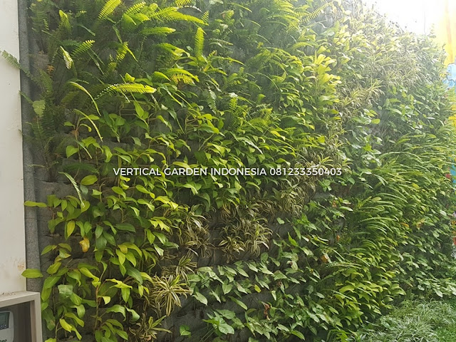 VERTICAL GARDEN INDONESIA SPESIALIS JASA PEMBUATAN VERTICAL GARDEN DI BANTEN DAN DI SELURUH WILAYAH BANTEN DENGAN TENAGA YANG PROFESIONAL DAN DAPAT DI PERCAYA YANG SELALU MENGUTAMAKAN SEBUAH MUTU DAN KUALITAS PEMASANGAN VERTICAL GARDEN/TAMAN DINDING, JASA TUKANG TAMAN VERTICAL BANTEN, JASA VERTICAL GARDEN BANTEN