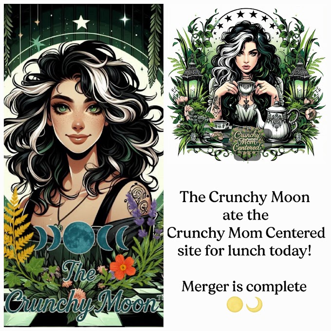More Crunchy Mom Centered™ Blog Posts Now on The Crunchy Moon™ – Part 2