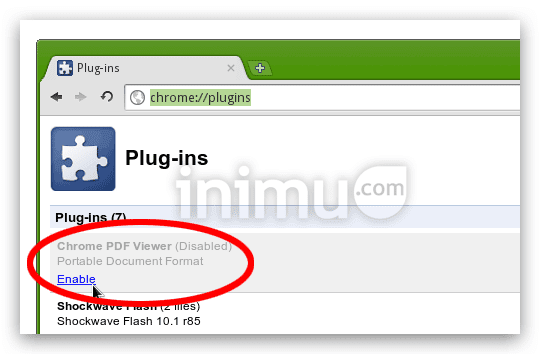 plugin-chrome-pdf-viewer.png