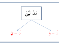 Contoh Bacaan Mad Layyin Beserta Suratnya