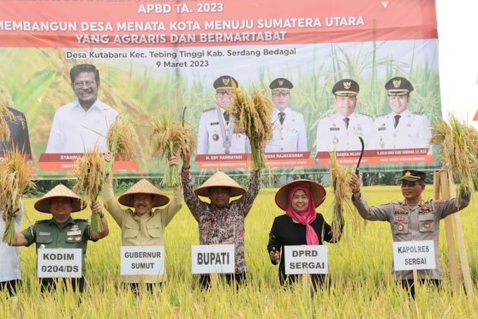 Sergai Ikut Panen Padi Raya 1 Juta Ha