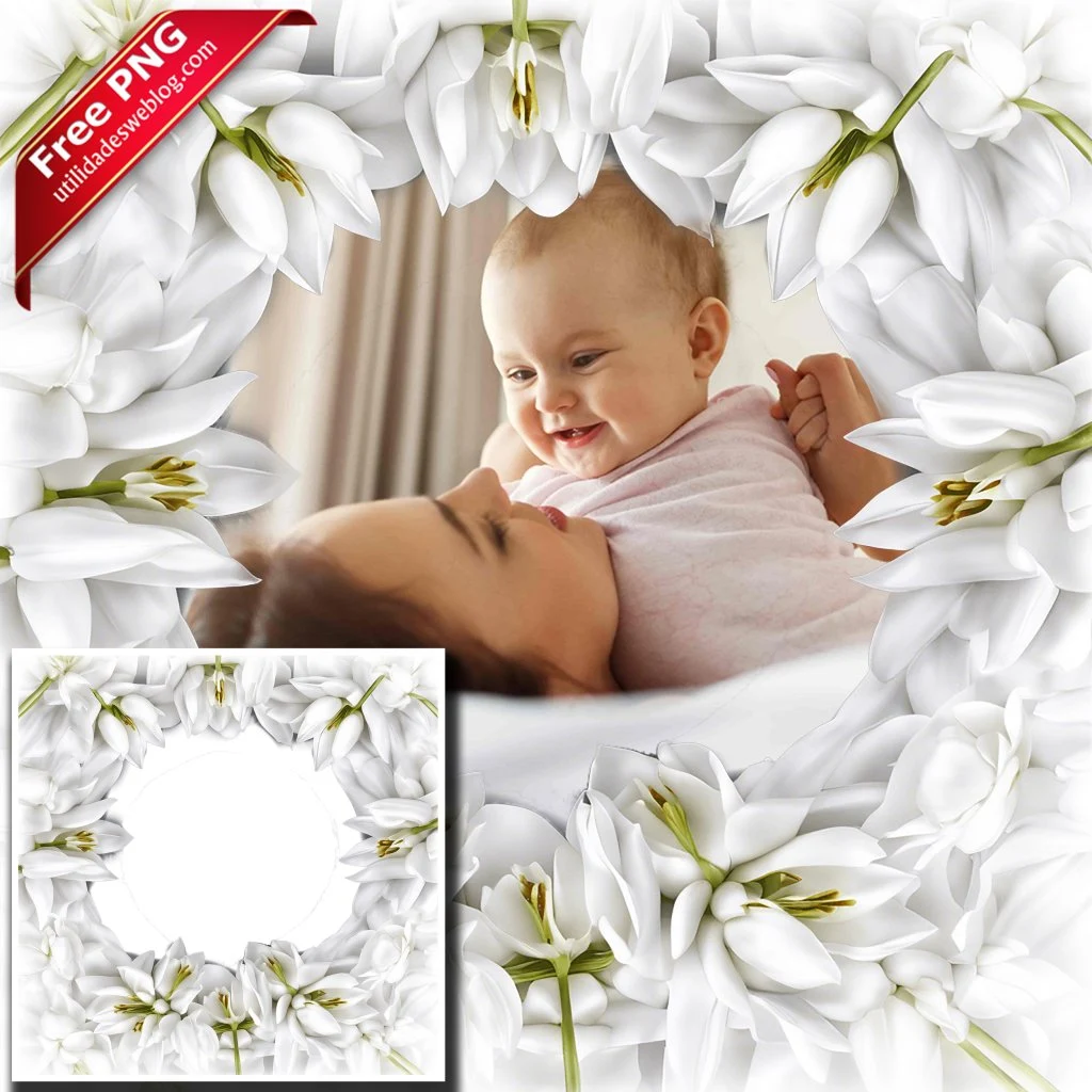 marco para fotos con flores de tulipanes blancos en png con fondo transparente para descargar gratis