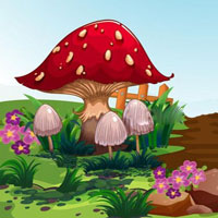 WOW Mushroom Garden Fairy Escape