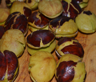 Archidendron pauciflorum atau biasa dikenal dengan jengkol merupakan jenis kacang-kacangan yang tumbuh di daratan Asia Tenggara. Di Myanmar, jengkol sering dipanggang dan dimakan bersama acar ikan dan nasi, sedangkan di Indonesia jengkol sering diolah menjadi rendang dan sambal.Terlepas dari baunya yang menyengat, sebenarnya jengkol menyimpan segudang manfaat lho    Tak hanya bisa memuaskan nafsu makan Anda, jengkol juga memiliki beberapa manfaat bagi kesehatan. Jengkol mengandung antioksidan tinggi, baik untuk mencegah berbagai penyakit kronis. Jengkol mampu mencegah penyakit diabetes dan dengan makan jengkol membuat Anda terhindar dari sakit maag. Jengkol juga terbukti mengandung beberapa zat yang bisa membahayakan kesehatan jika dikonsumsi terlalu banyak. Dalam beberapa penelitian, jengkol memiliki kandungan nitrogen yang cukup tinggi, yang dapat menyebabkan gangguan fungsi ginjal dan masalah pada sistem perkemihan.    Jika Anda gemar makan jengkol, maka Anda harus hati-hati sebab Anda dapat mengalami keracunan akibat makanan kegemaran Anda tersebut. Meskipun dinyatakan dalam sebuah penelitian jika keracunan jengkol adalah peristiwa yang langka, namun kondisi ini dapat membuat seseorang mengalami gagal ginjal. Hmmm apakah anda pernah mimpi makan jengkol apakah arti dari mimpi itu ya baik atau buruk? Oke dibawah ini ada ulasan mengenai mimpi tentang jegkol beserta angka jitunya cekidot.