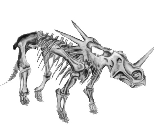dragon_tattoo_designs