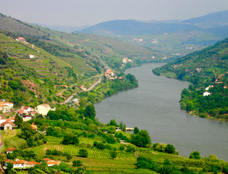 Wonderful Drive Douro River Valley Portugal Port Wine