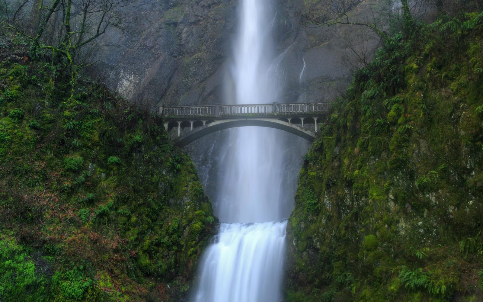 The LLemMoutD Pemandangan  di INDONESIA yang indah