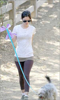 Rachel Bilson Dog Walking Pictures