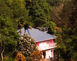Drizzle Valley Cottage, Munnar