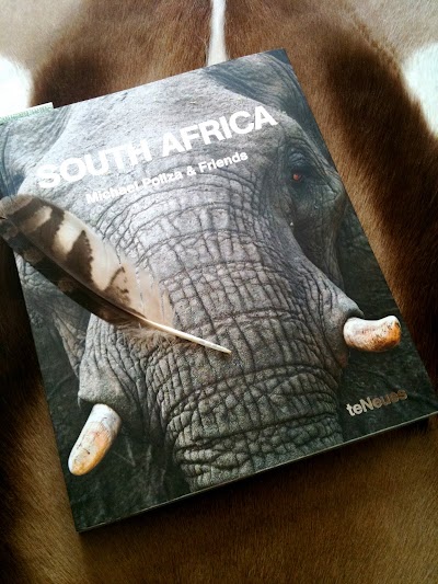 I am reading...