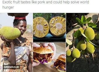 http://www.dailymail.co.uk/sciencetech/article-5453669/Exotic-fruit-tastes-like-pork-help-world-hunger.html#v-5800836604175826404
