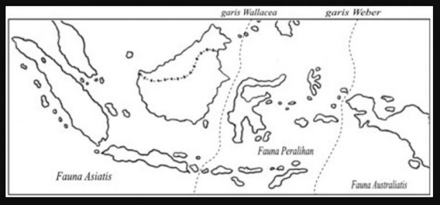Peta Persebaran Flora dan Fauna di Indonesia Beserta Jenis 