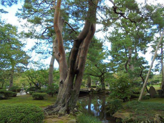 金沢兼六園の花見橋