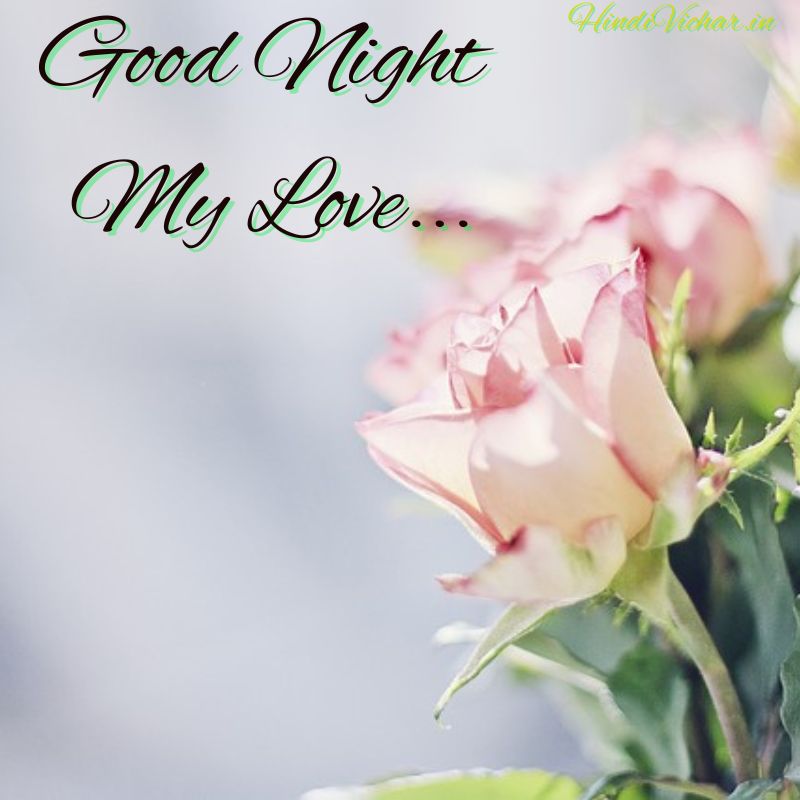 Good Night My Love Images with Wishes