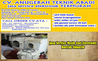 Jasa Service Mesin Cuci Electrolux Daerah Sidoarjo 