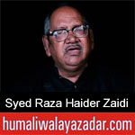 https://www.humaliwalayazadar.com/2019/10/syed-raza-haider-zaidi-nohay-2020.html