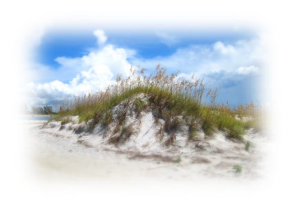 dune