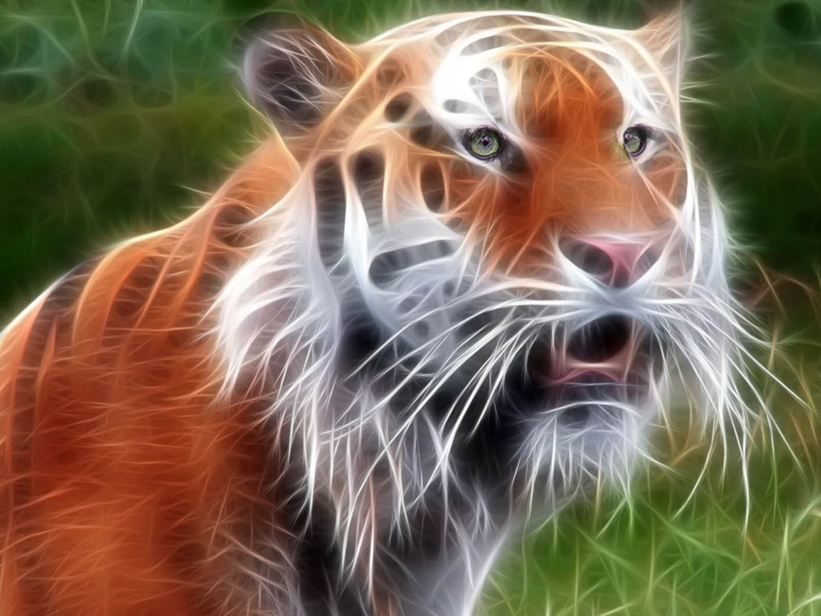  wallpapers  Tiger  3D  Wallpapers 