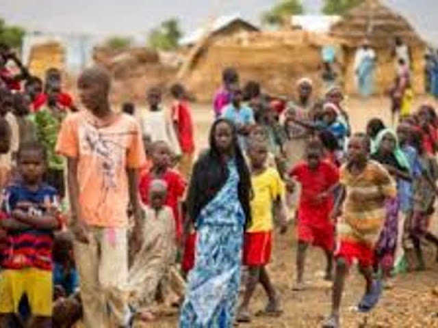 UNHCR Calls on Cameroon to Halt Forcible Returns of Nigerian Refugees