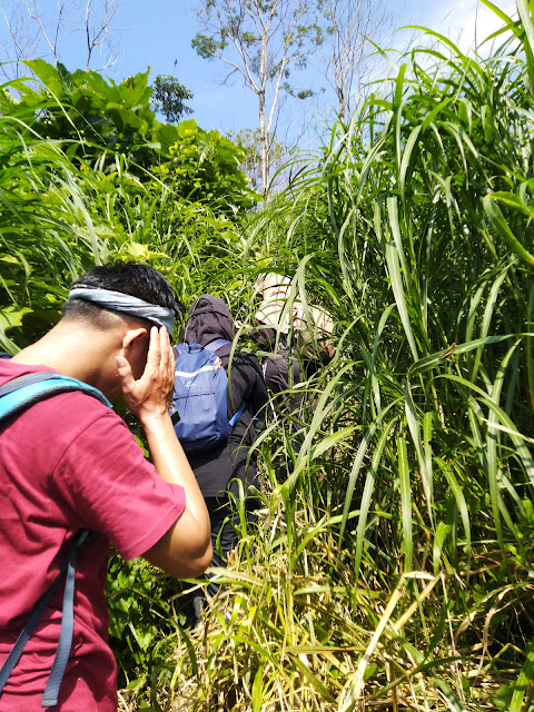 Padang Ilalang gunung kandaga