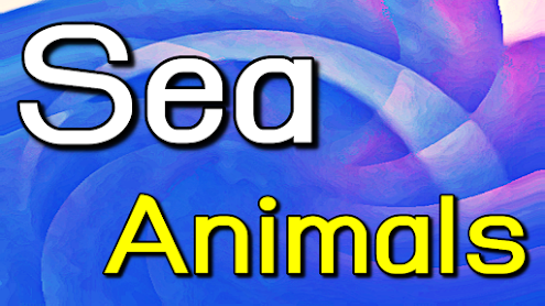 300 สัตว์ทะเล คำศัพท์ภาษาอังกฤษ  Sea Animals