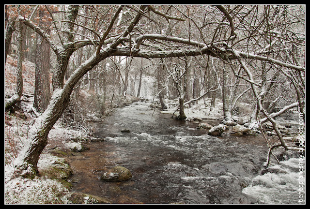 Rascafria El Arroyo de la Angostura