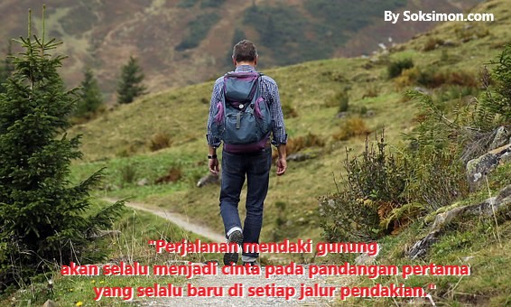 40 Kata  Bijak Alam  Semesta tentang Cinta dan Kehidupan 