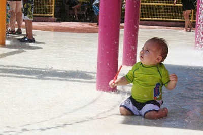 Sea World 101