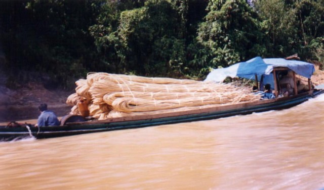 Rotan satu ton, dimuat dari hulu ke hilir