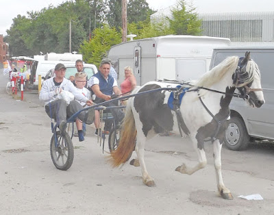 Brigg Horse Fair 2016 - picture three on Nigel Fisher's Brigg Blog