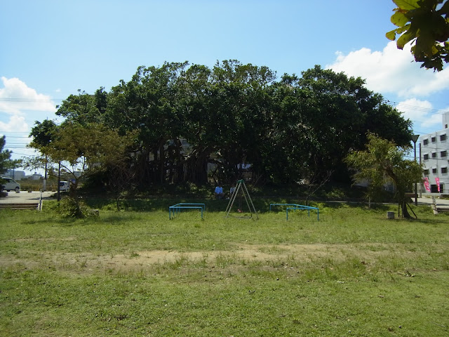 安岡ガジュマル公園（沖縄県那覇市）