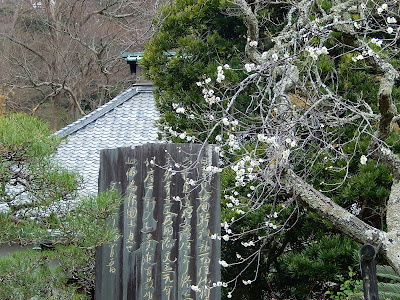  光則寺