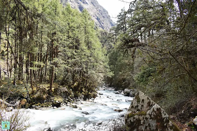 Trekking Valle del Langtang, Nepal