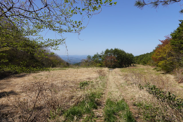 鳥取県西伯郡伯耆町丸山 牧草地の奥の山道