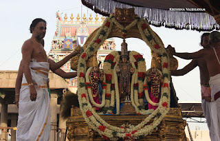 Aani,Dharmadhipeedam,Sri Theliya Singar, Yoga Narasimhar,Brahmotsavam ,Purappadu,Video, Divya Prabhandam,Sri Parthasarathy Perumal, Triplicane,Thiruvallikeni,Utsavam,