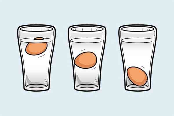 Tips dan Cara Mengetes Telur Berkualitas
