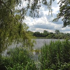 duddingston loch
