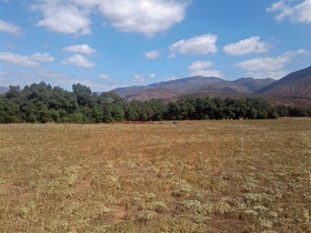 Photo of Orosco Ridge Trailhead, Pamo Valley